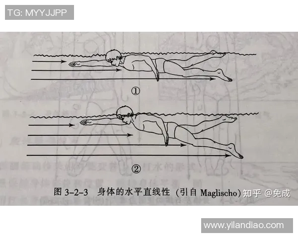 提高自由泳速度与耐力的关键技巧全面解析