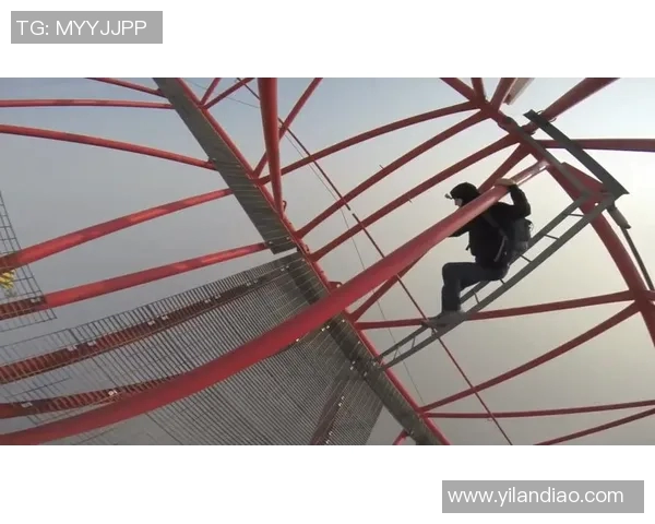 上海极限运动队整体表现分析与未来发展方向探讨