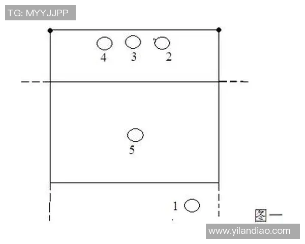 南京排球队的战术调整与成绩波动分析探讨