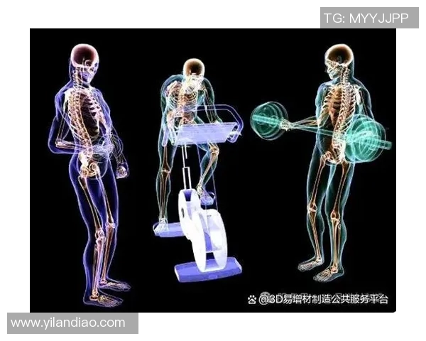 运动康复新视角：科学方法与个性化治疗方案的创新融合
